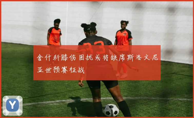 舍什科膝伤困扰或将缺席斯洛文尼亚世预赛征战